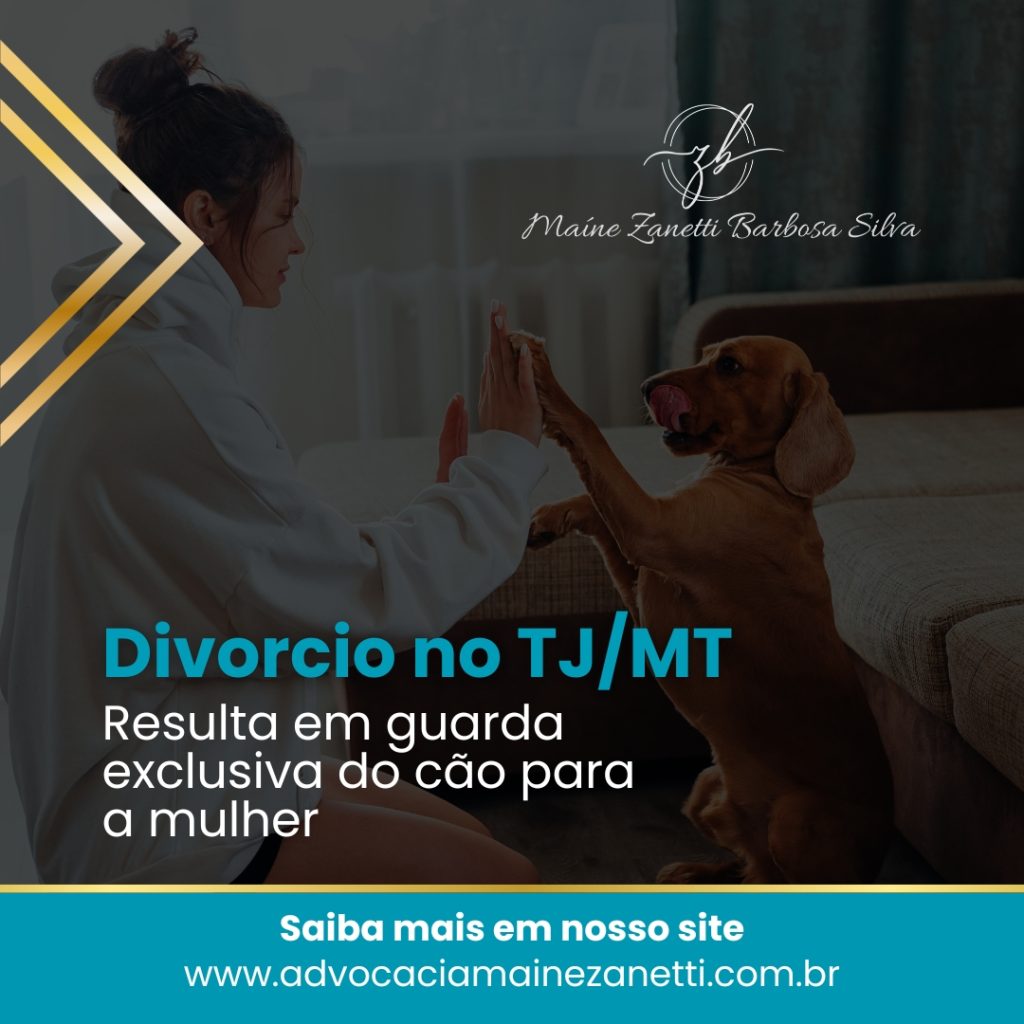 Divórcio no TJ/MT resulta em guarda exclusiva do cão para a mulher 🐾
