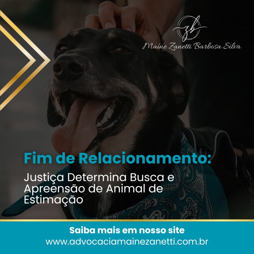 Fim de Relacionamento: Justiça Determina Busca e Apreensão de Animal de Estimação 🐾⚖️